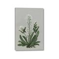 Picture of White flower II  _GroupedProduct_Rectangle_Portrait_Canvas_