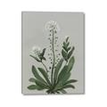 Picture of White flower II  _GroupedProduct_Rectangle_Portrait_Canvas_