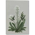 Picture of White flower II  _GroupedProduct_Rectangle_Portrait_Canvas_