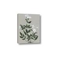 Picture of White flower III _GroupedProduct_Rectangle_Portrait_Canvas_