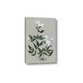 Picture of White flower III _GroupedProduct_Rectangle_Portrait_Canvas_