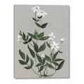 Picture of White flower III _GroupedProduct_Rectangle_Portrait_Canvas_