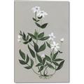 Picture of White flower III _GroupedProduct_Rectangle_Portrait_Canvas_