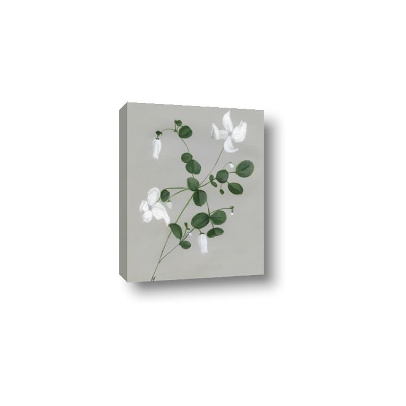 Picture of White flower IV _GroupedProduct_Rectangle_Portrait_Canvas_