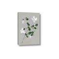 Picture of White flower IV _GroupedProduct_Rectangle_Portrait_Canvas_