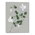 Picture of White flower IV _GroupedProduct_Rectangle_Portrait_Canvas_