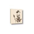 Picture of Vintage Botanical I  _GroupedProduct_Rectangle_Portrait_Canvas_