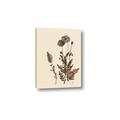 Picture of Vintage Botanical I  _GroupedProduct_Rectangle_Portrait_Canvas_