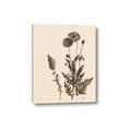 Picture of Vintage Botanical I  _GroupedProduct_Rectangle_Portrait_Canvas_