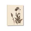 Picture of Vintage Botanical I  _GroupedProduct_Rectangle_Portrait_Canvas_
