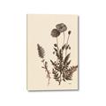 Picture of Vintage Botanical I  _GroupedProduct_Rectangle_Portrait_Canvas_