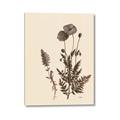 Picture of Vintage Botanical I  _GroupedProduct_Rectangle_Portrait_Canvas_