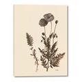 Picture of Vintage Botanical I  _GroupedProduct_Rectangle_Portrait_Canvas_