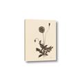 Picture of Vintage Botanical II  _GroupedProduct_Rectangle_Portrait_Canvas_