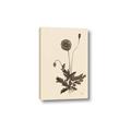 Picture of Vintage Botanical II  _GroupedProduct_Rectangle_Portrait_Canvas_