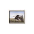 Picture of Roaming Around _GroupedProduct_Rectangle_Landscape_Canvas_Framed_