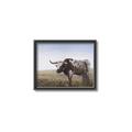 Picture of Roaming Around _GroupedProduct_Rectangle_Landscape_Canvas_Framed_