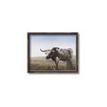 Picture of Roaming Around _GroupedProduct_Rectangle_Landscape_Canvas_Framed_