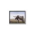 Picture of Roaming Around _GroupedProduct_Rectangle_Landscape_Canvas_Framed_