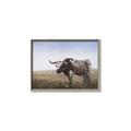 Picture of Roaming Around _GroupedProduct_Rectangle_Landscape_Canvas_Framed_