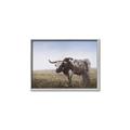 Picture of Roaming Around _GroupedProduct_Rectangle_Landscape_Canvas_Framed_