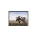 Picture of Roaming Around _GroupedProduct_Rectangle_Landscape_Canvas_Framed_