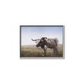Picture of Roaming Around _GroupedProduct_Rectangle_Landscape_Canvas_Framed_