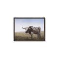 Picture of Roaming Around _GroupedProduct_Rectangle_Landscape_Canvas_Framed_