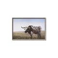 Picture of Roaming Around _GroupedProduct_Rectangle_Landscape_Canvas_Framed_