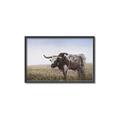 Picture of Roaming Around _GroupedProduct_Rectangle_Landscape_Canvas_Framed_