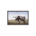 Picture of Roaming Around _GroupedProduct_Rectangle_Landscape_Canvas_Framed_