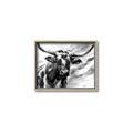 Picture of Longhorn Larry _GroupedProduct_Rectangle_Landscape_Canvas_Framed_