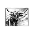 Picture of Longhorn Larry _GroupedProduct_Rectangle_Landscape_Canvas_Framed_