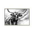 Picture of Longhorn Larry _GroupedProduct_Rectangle_Landscape_Canvas_Framed_
