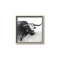 Picture of Sketched Horned Cow _GroupedProduct_Square_Canvas_Framed_