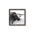 Picture of Sketched Horned Cow _GroupedProduct_Square_Canvas_Framed_