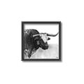 Picture of Sketched Horned Cow _GroupedProduct_Square_Canvas_Framed_