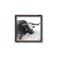 Picture of Sketched Horned Cow _GroupedProduct_Square_Canvas_Framed_