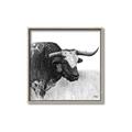 Picture of Sketched Horned Cow _GroupedProduct_Square_Canvas_Framed_