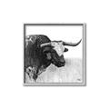 Picture of Sketched Horned Cow _GroupedProduct_Square_Canvas_Framed_