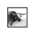 Picture of Sketched Horned Cow _GroupedProduct_Square_Canvas_Framed_