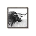 Picture of Sketched Horned Cow _GroupedProduct_Square_Canvas_Framed_