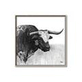 Picture of Sketched Horned Cow _GroupedProduct_Square_Canvas_Framed_