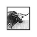 Picture of Sketched Horned Cow _GroupedProduct_Square_Canvas_Framed_