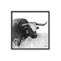 Picture of Sketched Horned Cow _GroupedProduct_Square_Canvas_Framed_