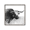 Picture of Sketched Horned Cow _GroupedProduct_Square_Canvas_Framed_