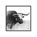 Picture of Sketched Horned Cow _GroupedProduct_Square_Canvas_Framed_