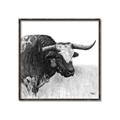 Picture of Sketched Horned Cow _GroupedProduct_Square_Canvas_Framed_