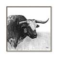 Picture of Sketched Horned Cow _GroupedProduct_Square_Canvas_Framed_