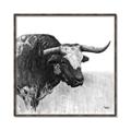 Picture of Sketched Horned Cow _GroupedProduct_Square_Canvas_Framed_